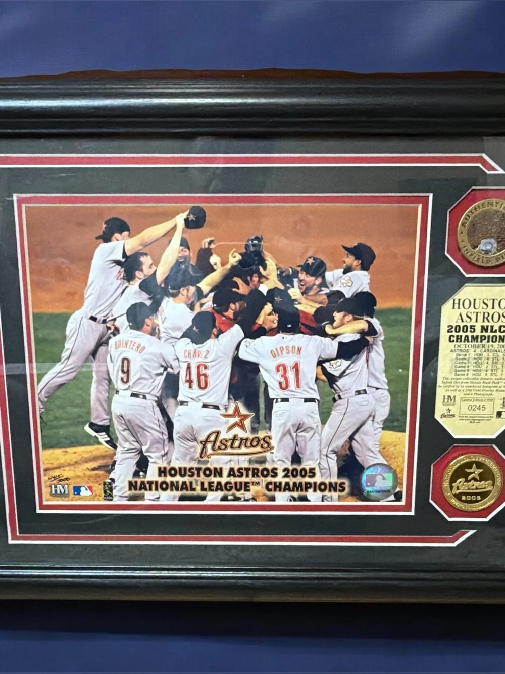 2005 Champions Framed Photo Plaque - Black/Red Houston Astros